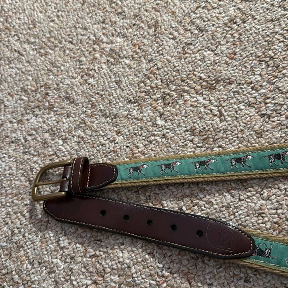 Heybo Green- Lab Dog Patterned Belt with Duck -42